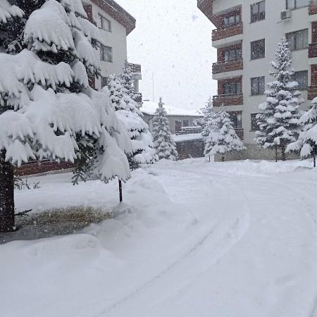 Studio Detelina Residence Bansko Zewnętrze zdjęcie