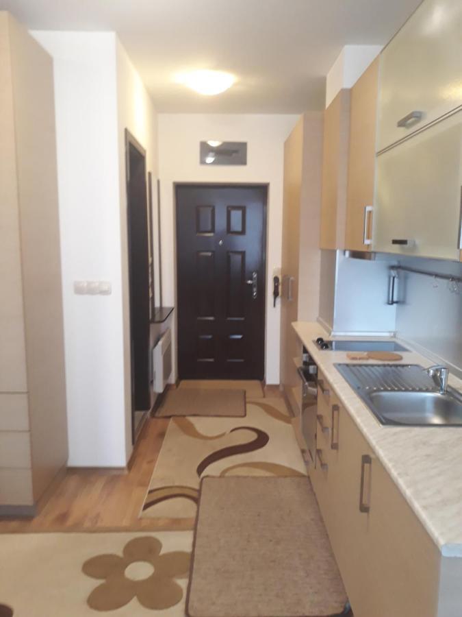 Studio Detelina Residence Bansko Zewnętrze zdjęcie