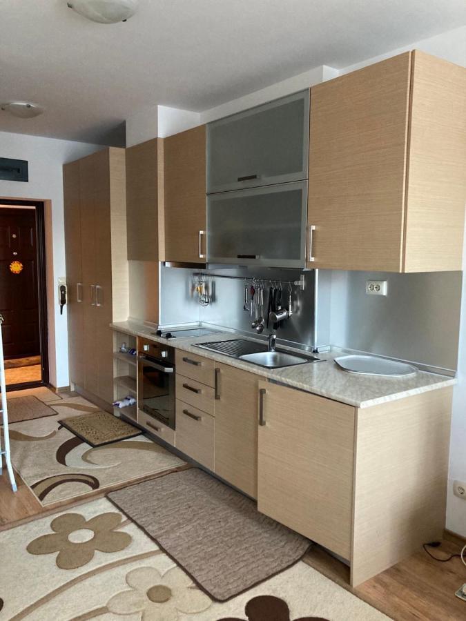 Studio Detelina Residence Bansko Zewnętrze zdjęcie