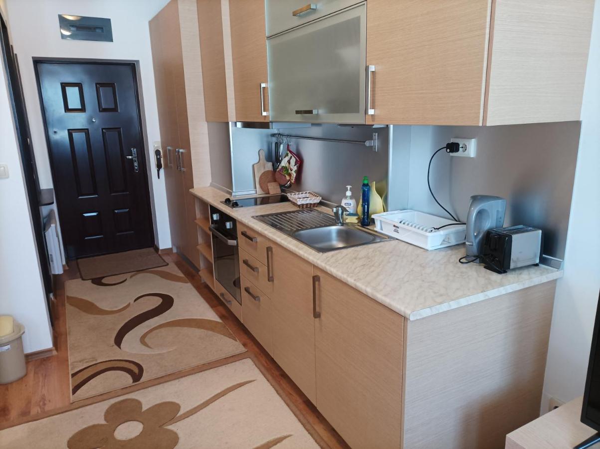 Studio Detelina Residence Bansko Zewnętrze zdjęcie