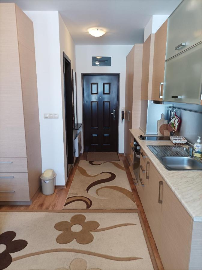 Studio Detelina Residence Bansko Zewnętrze zdjęcie