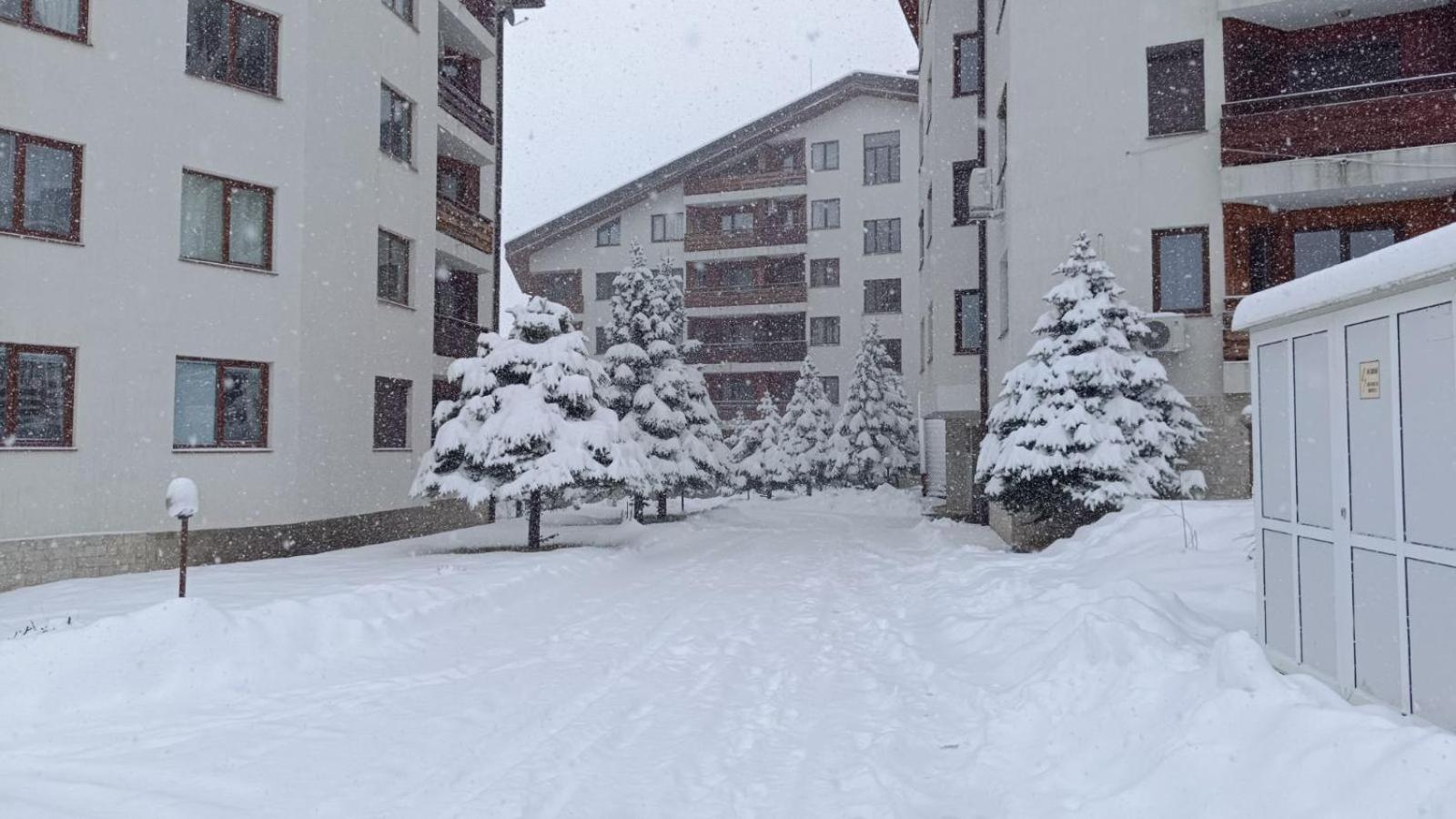 Studio Detelina Residence Bansko Zewnętrze zdjęcie