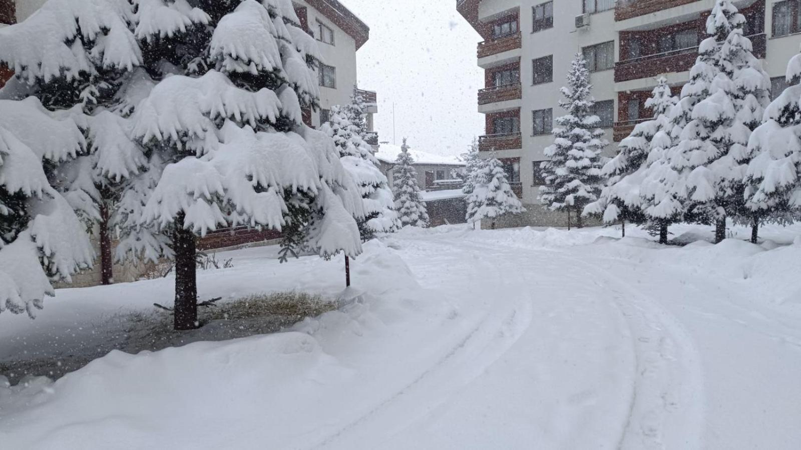 Studio Detelina Residence Bansko Zewnętrze zdjęcie