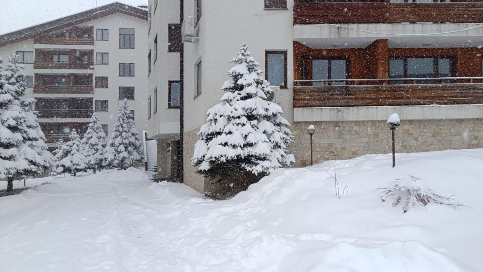 Studio Detelina Residence Bansko Zewnętrze zdjęcie