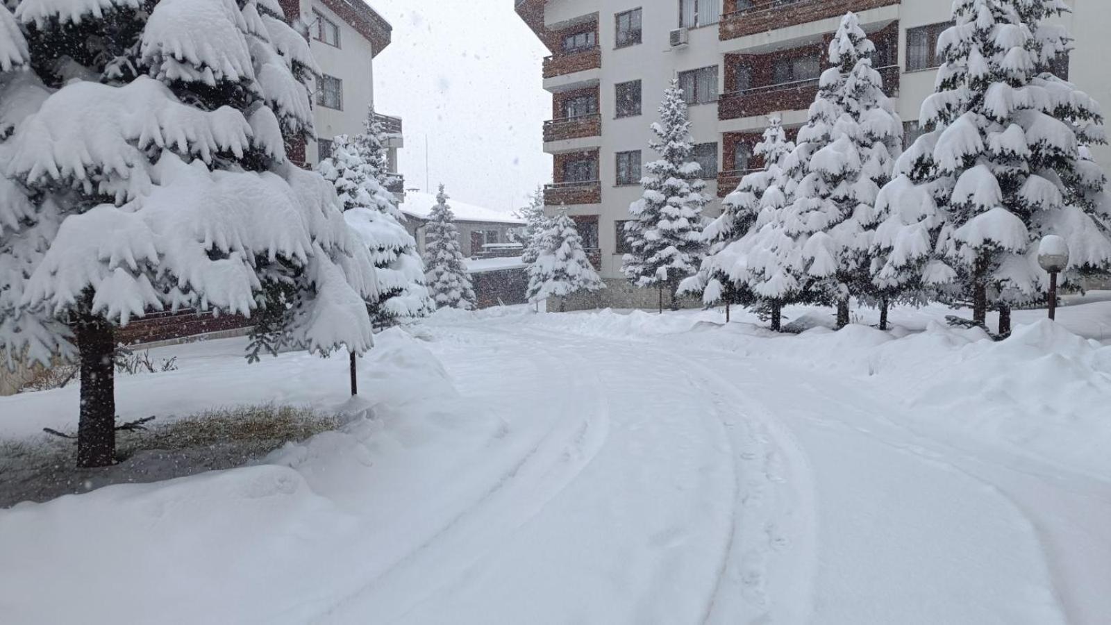 Studio Detelina Residence Bansko Zewnętrze zdjęcie