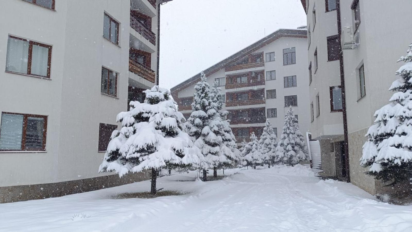 Studio Detelina Residence Bansko Zewnętrze zdjęcie