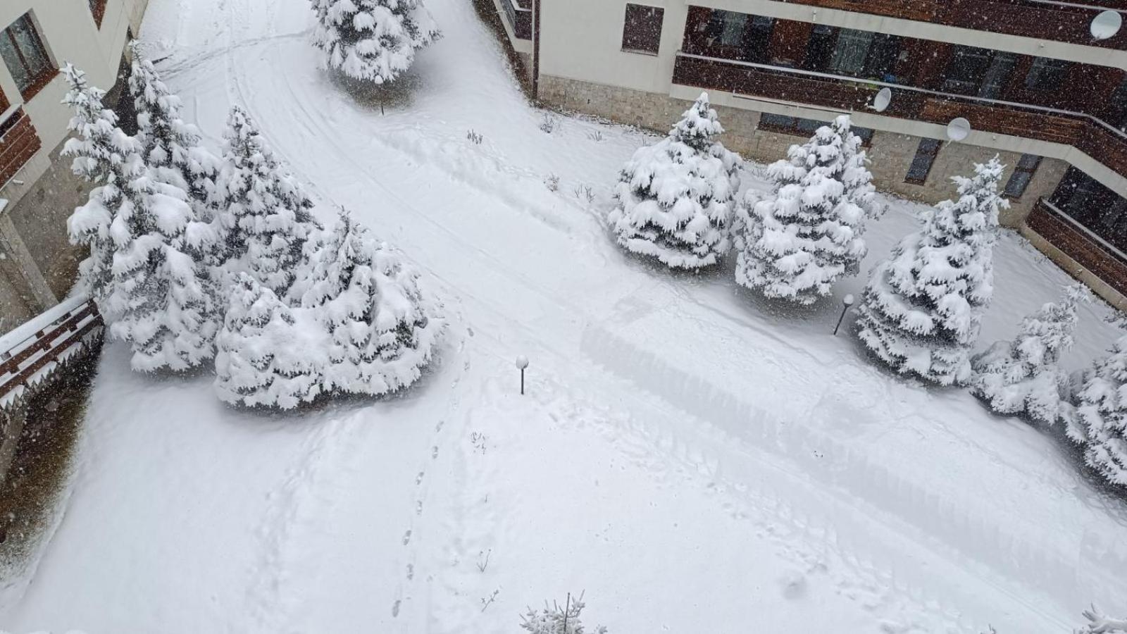 Studio Detelina Residence Bansko Zewnętrze zdjęcie