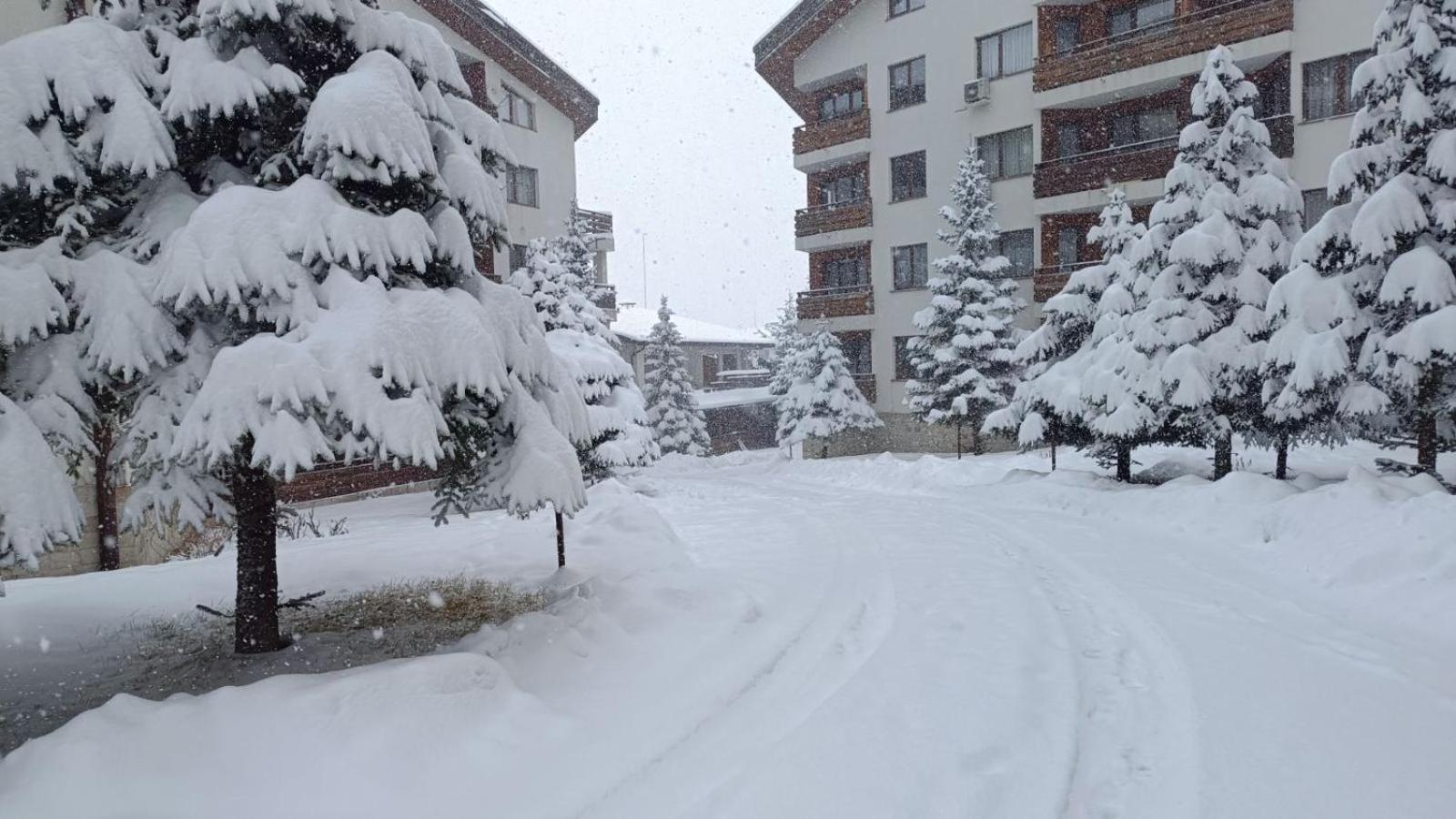 Studio Detelina Residence Bansko Zewnętrze zdjęcie