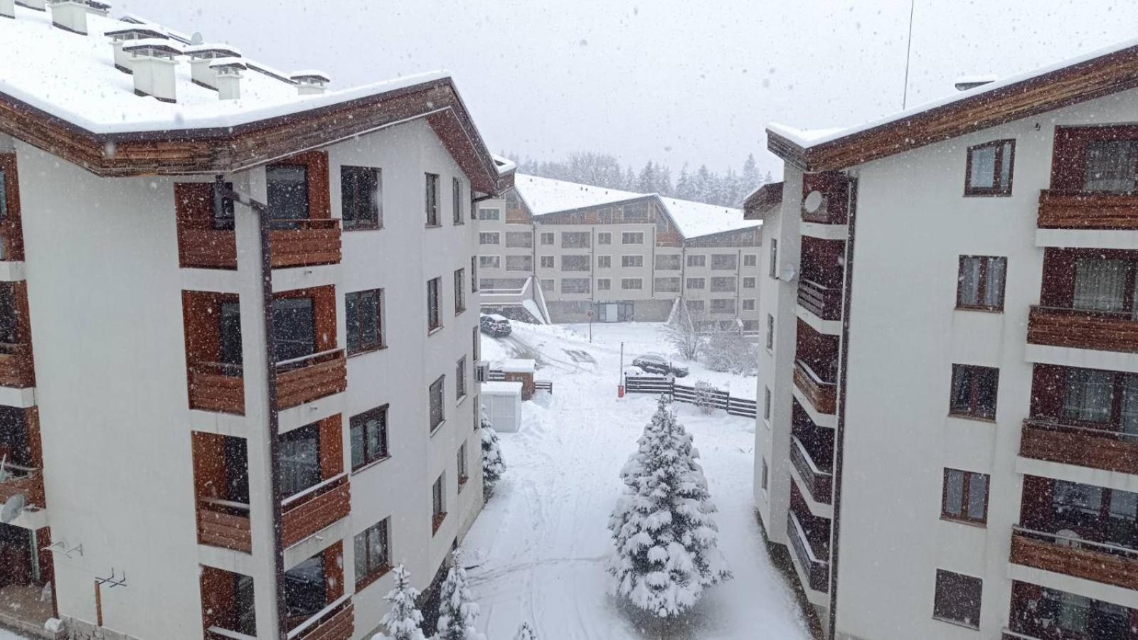 Studio Detelina Residence Bansko Zewnętrze zdjęcie