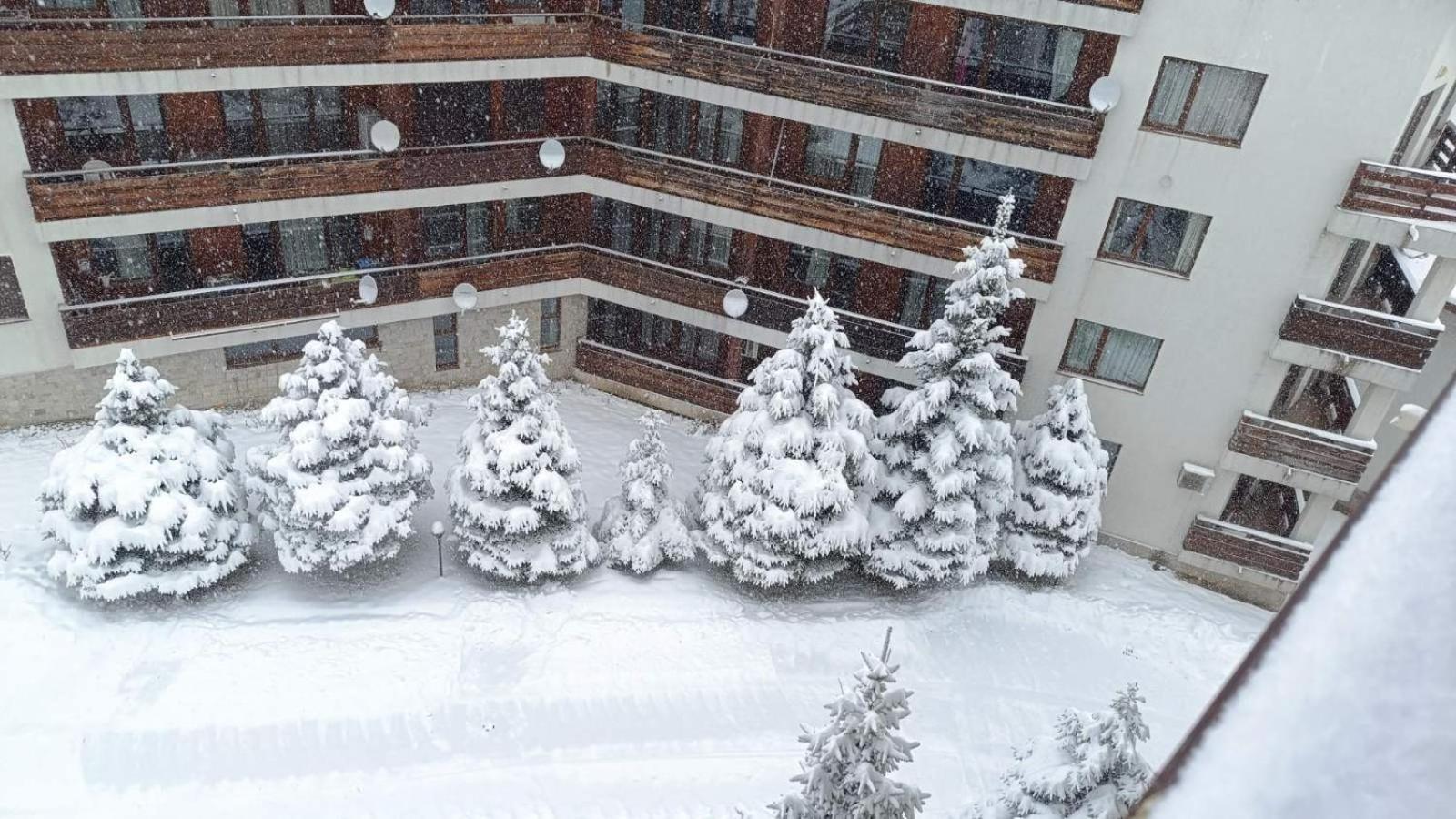 Studio Detelina Residence Bansko Zewnętrze zdjęcie