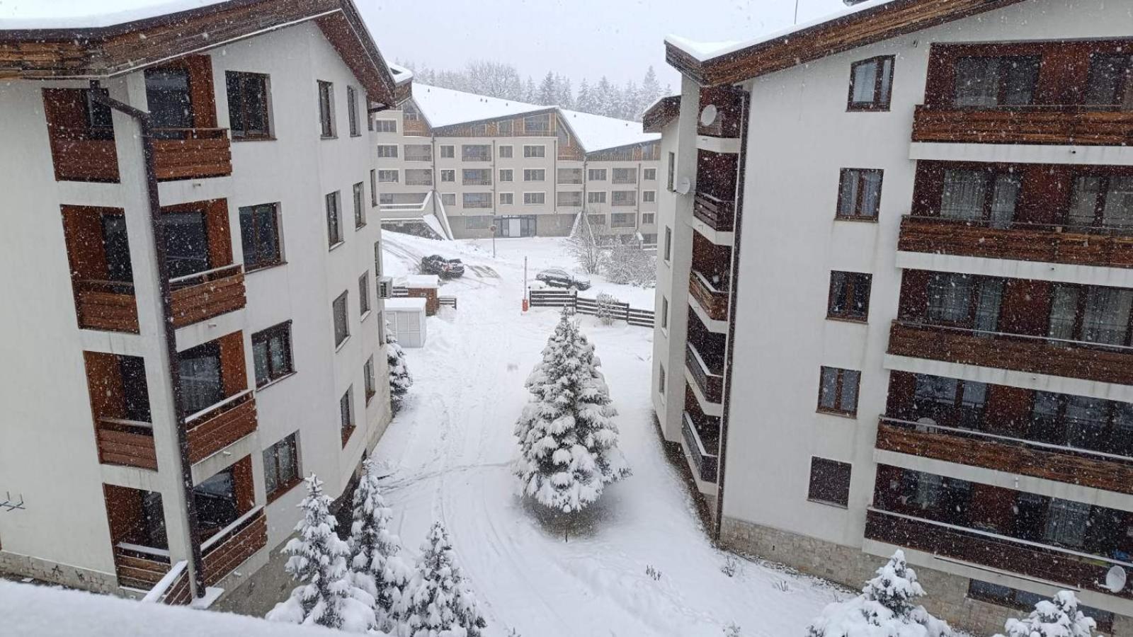 Studio Detelina Residence Bansko Zewnętrze zdjęcie
